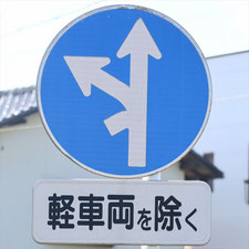 異形矢印標識(指定方向外進行禁止)。静岡県静岡市駿河区にある。