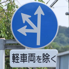 異形矢印標識(指定方向外進行禁止)。静岡県伊東市にある。