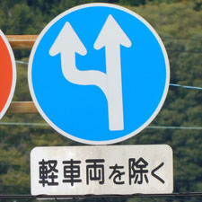 異形矢印標識(指定方向外進行禁止)。静岡県静岡市葵区にある。