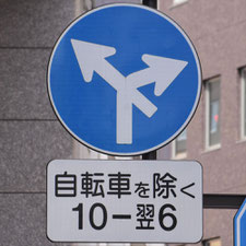 異形矢印標識(指定方向外進行禁止)。栃木県宇都宮市にある。