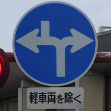 異形矢印標識(指定方向外進行禁止)。静岡県浜松市にある。