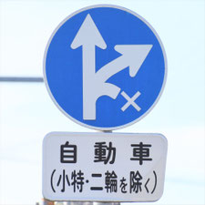 異形矢印標識(指定方向外進行禁止)。新潟県五泉市にある。