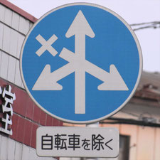 異形矢印標識(指定方向外進行禁止)。宮城県多賀城市にある。