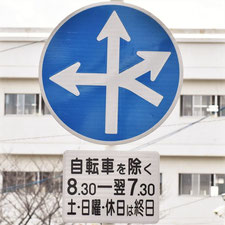 異形矢印標識(指定方向外進行禁止)。広島県広島市にある。