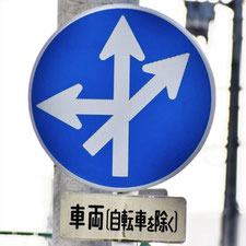異形矢印標識(指定方向外進行禁止)。広島県広島市にある。