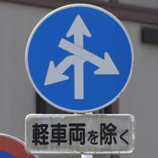 異形矢印標識(指定方向外進行禁止)。静岡県静岡市清水区にある。