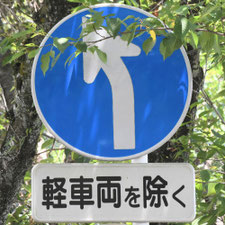 異形矢印標識(指定方向外進行禁止)。静岡県静岡市清水区にある。