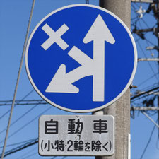 異形矢印標識(指定方向外進行禁止)。新潟県五泉市にある。