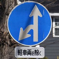 異形矢印標識(指定方向外進行禁止)。静岡県島田市にある。