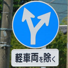 異形矢印標識(指定方向外進行禁止)。静岡県富士市にある。