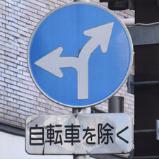 異形矢印標識(指定方向外進行禁止)。東京都大田区にある。