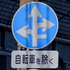 異形矢印標識(指定方向外進行禁止)。岡山県岡山市にある。