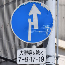 異形矢印標識(指定方向外進行禁止)。和歌山県和歌山市にある。