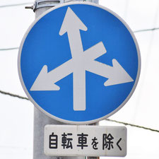 異形矢印標識(指定方向外進行禁止)。広島県広島市にある。