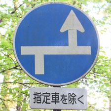 異形矢印標識(指定方向外進行禁止)。栃木県日光市にある。