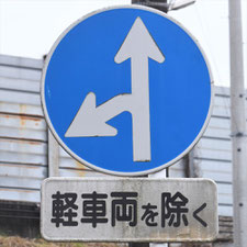異形矢印標識(指定方向外進行禁止)。静岡県焼津市にある。
