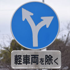 異形矢印標識(指定方向外進行禁止)。静岡県藤枝市にある。