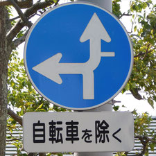 異形矢印標識(指定方向外進行禁止)。岡山県岡山市北区にある。