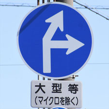 異形矢印標識(指定方向外進行禁止)。静岡県浜松市にある。