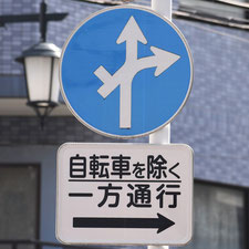 異形矢印標識(指定方向外進行禁止)。東京都東久留米市にある。