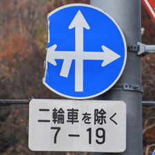 異形矢印標識(指定方向外進行禁止)。秋田県仙北市にある。