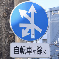 異形矢印標識(指定方向外進行禁止)。東京都目黒区にある。