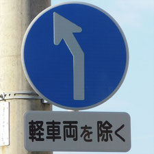 異形矢印標識(指定方向外進行禁止)。静岡県浜松市にある。