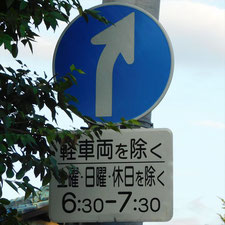 異形矢印標識(指定方向外進行禁止)。静岡県伊豆市にある。