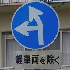 異形矢印標識(指定方向外進行禁止)。静岡県浜松市にある。