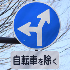 異形矢印標識(指定方向外進行禁止)。群馬県桐生市にある。