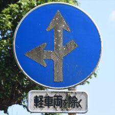 異形矢印標識(指定方向外進行禁止)。静岡県東伊豆町にある。