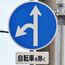 異形矢印標識(指定方向外進行禁止)。広島県広島市にある。
