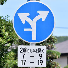 異形矢印標識(指定方向外進行禁止)。福山市にある。