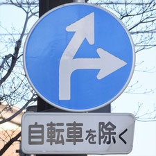異形矢印標識(指定方向外進行禁止)。群馬県前橋市にある。