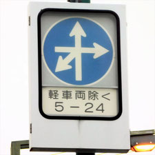 異形矢印標識(指定方向外進行禁止)。徳島県徳島市にある。