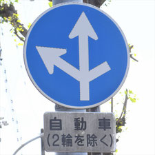 異形矢印標識(指定方向外進行禁止)。茨城県土浦市にある。