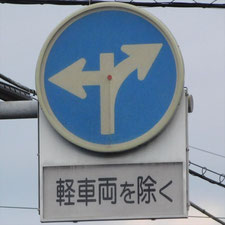 異形矢印標識(指定方向外進行禁止)。静岡県富士宮市にある。