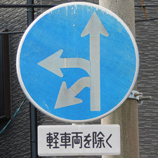 異形矢印標識(指定方向外進行禁止)。静岡県静岡市葵区にある。