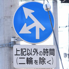 異形矢印標識(指定方向外進行禁止)。栃木県足利市にある。