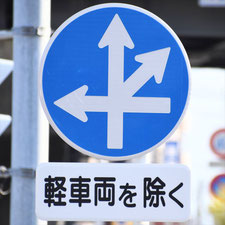 異形矢印標識(指定方向外進行禁止)。静岡県沼津市にある。