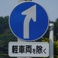 異形矢印標識(指定方向外進行禁止)。静岡県伊豆の国市にある。