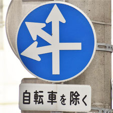 異形矢印標識(指定方向外進行禁止)。広島県広島市にある。