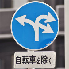 異形矢印標識(指定方向外進行禁止)。広島県広島市にある。