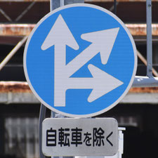 異形矢印標識(指定方向外進行禁止)。大阪府寝屋川市にある。