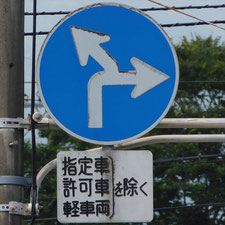 異形矢印標識(指定方向外進行禁止)。静岡県富士市にある。