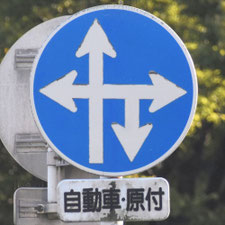 異形矢印標識(指定方向外進行禁止)。熊本県熊本市にある。