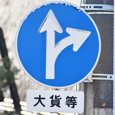異形矢印標識(指定方向外進行禁止)。広島県広島市にある。