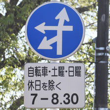 異形矢印標識(指定方向外進行禁止)。栃木県宇都宮市にある。