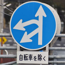 異形矢印標識(指定方向外進行禁止)。広島県広島市にある。