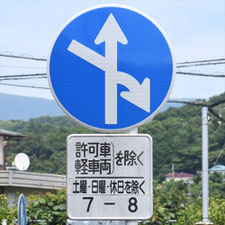 異形矢印標識(指定方向外進行禁止)。静岡県三島市にある。